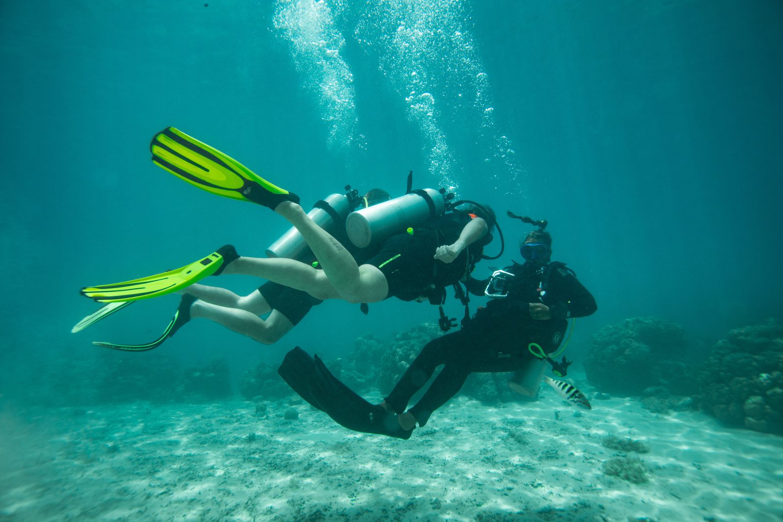 A buddy pair in training in the Moorea lagoon