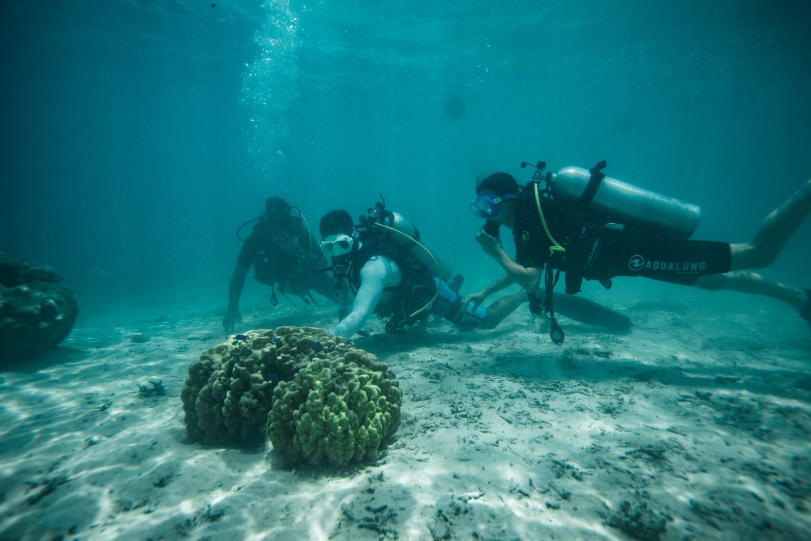 Discover scuba dive in the Moorea lagoon with a Scubapiti instructor