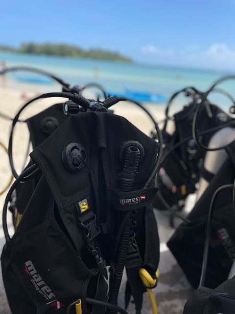 BCDs ready on the beach