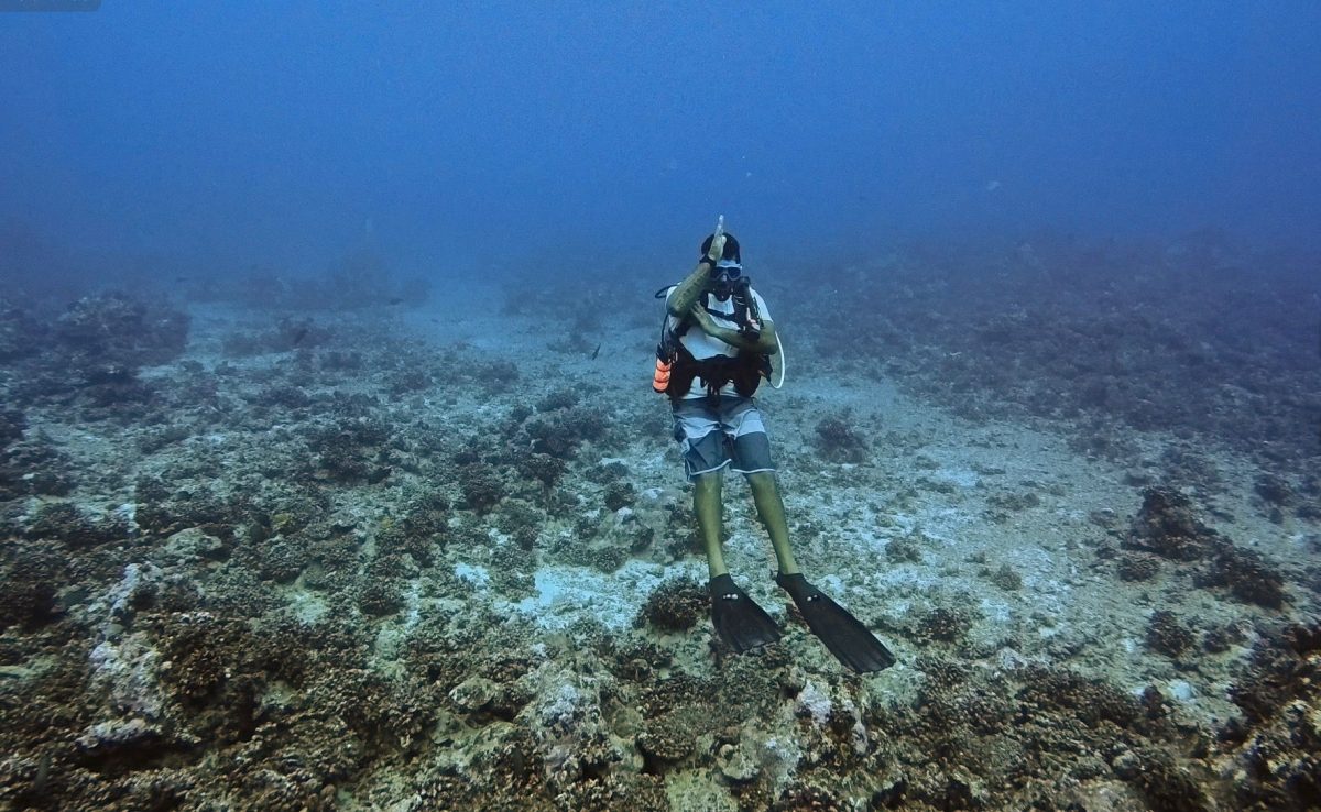 A diver above the sea floor, on the ocean side