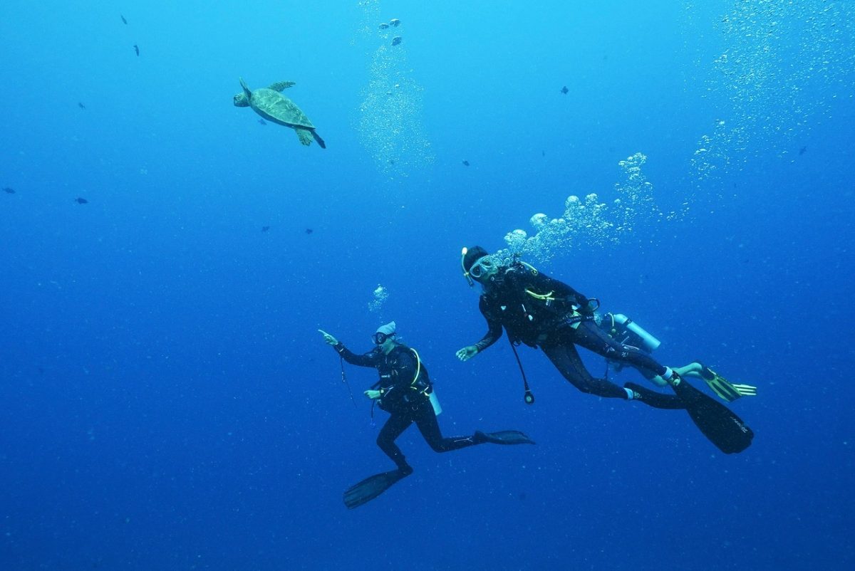Divers in the blue, on the ocean side, in Moorea