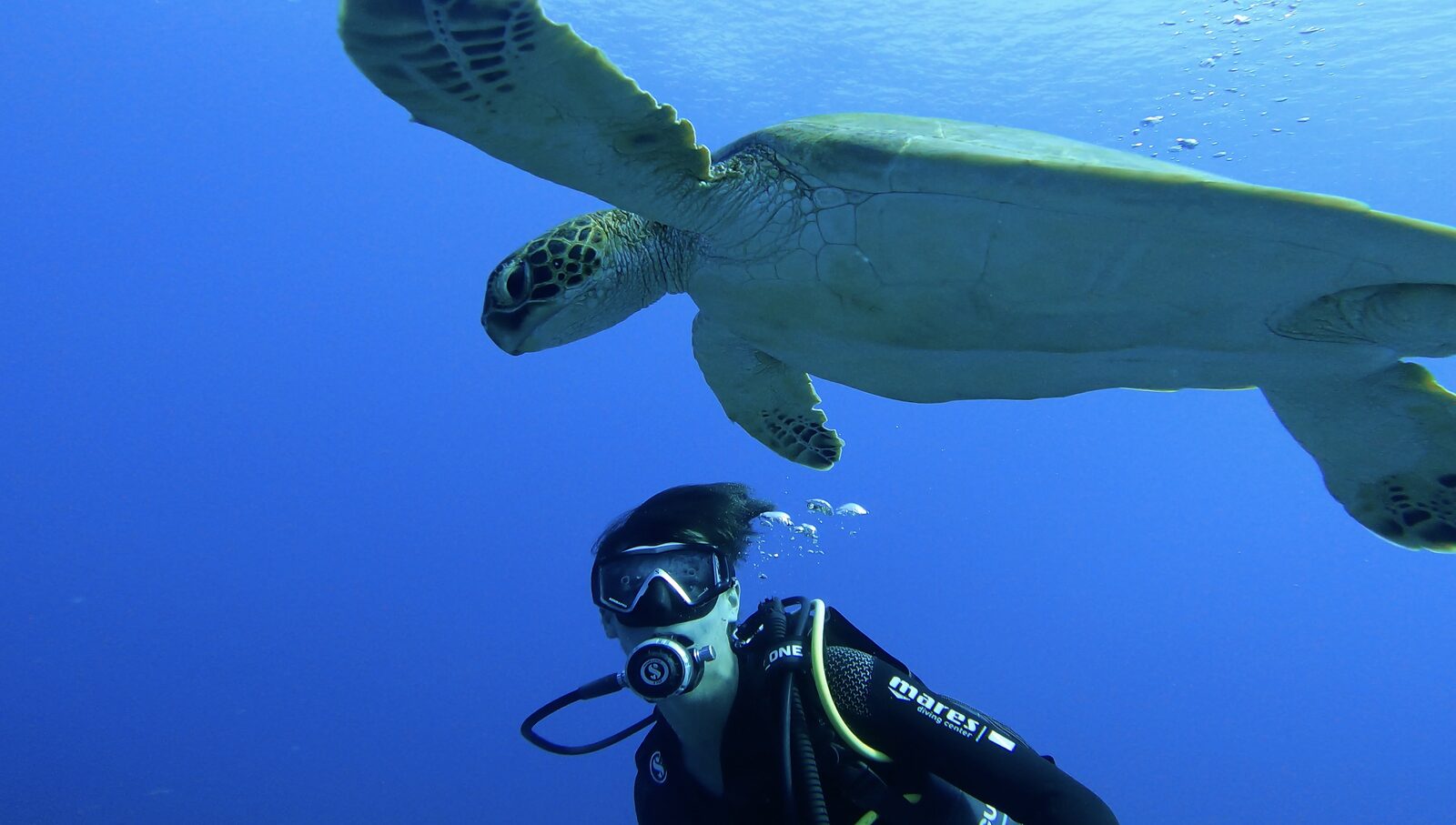 A diver beneath a turtle, in the blue ocean off Moorea