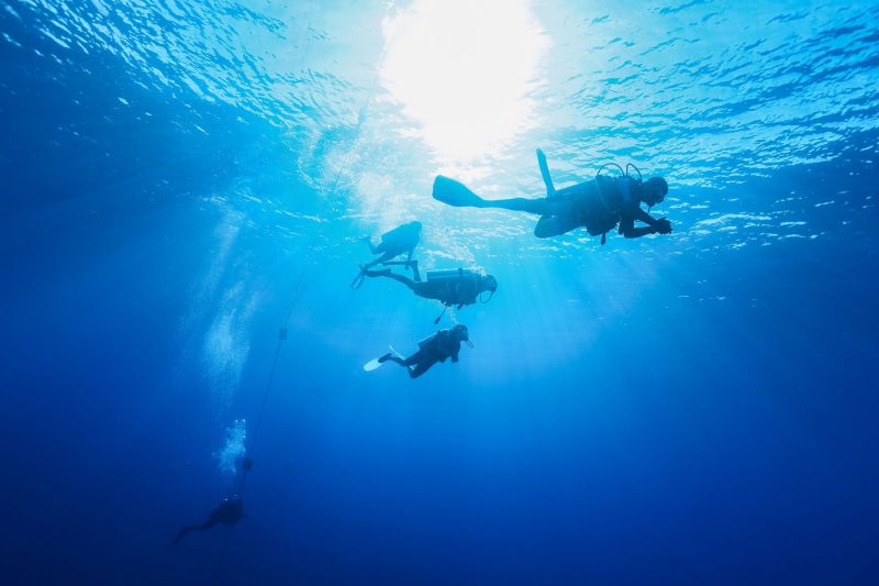 Divers in the blue of the ocean in Moorea