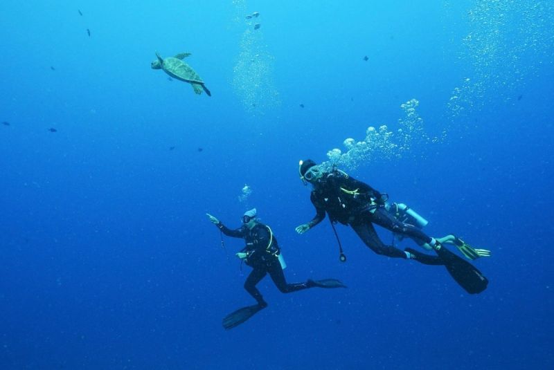 Divers in the blue, on the ocean side, in Moorea
