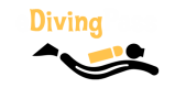 edivingpass.com